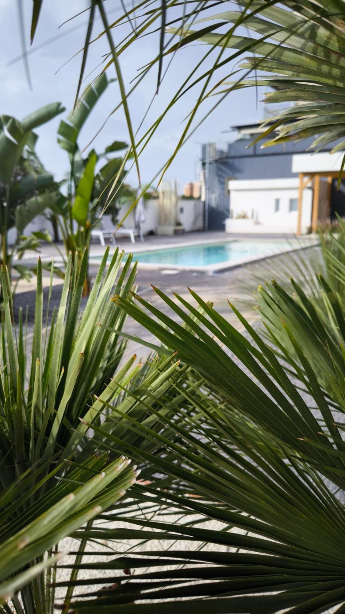 Vistamare Beach Garden Relax San Leone Ngoại thất bức ảnh